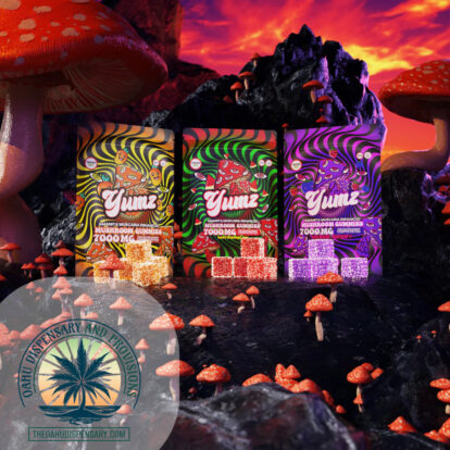 Yumz Amanita Shroom Gummies - 7000MG